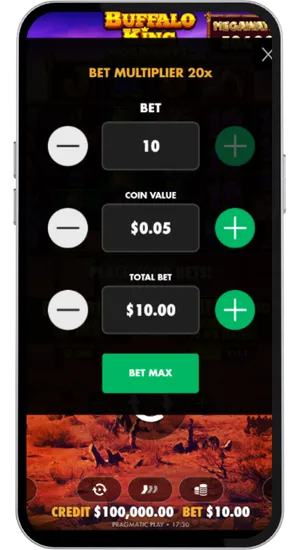 Setting stake level between £0.20 and £100 per spin based on balance and session length