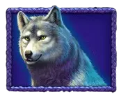 Wolf Symbol